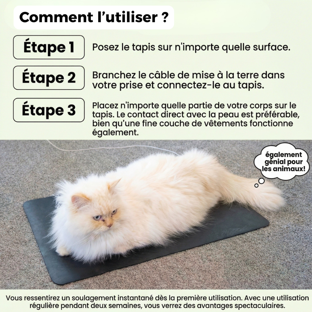 Tapis connecté à la Terre Aktopas™